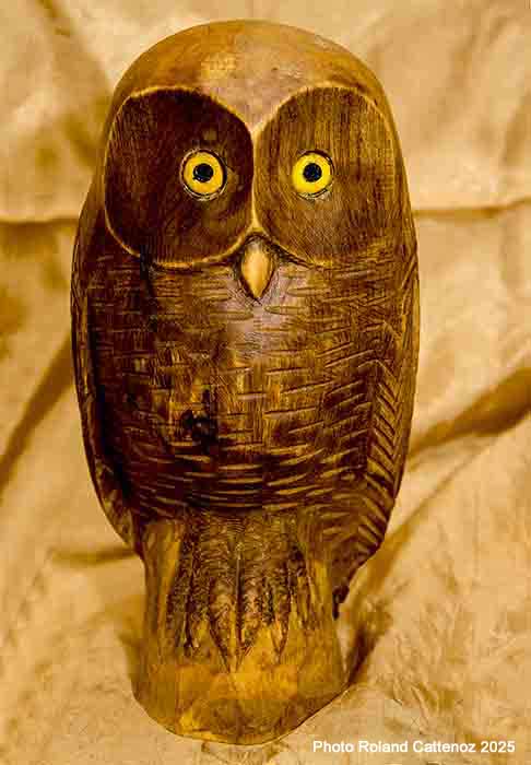Chouette sculptée en Frêne