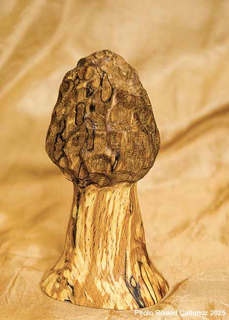 Morille décorative sculptée