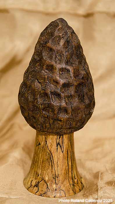 Morille sculptée en bois 15cm