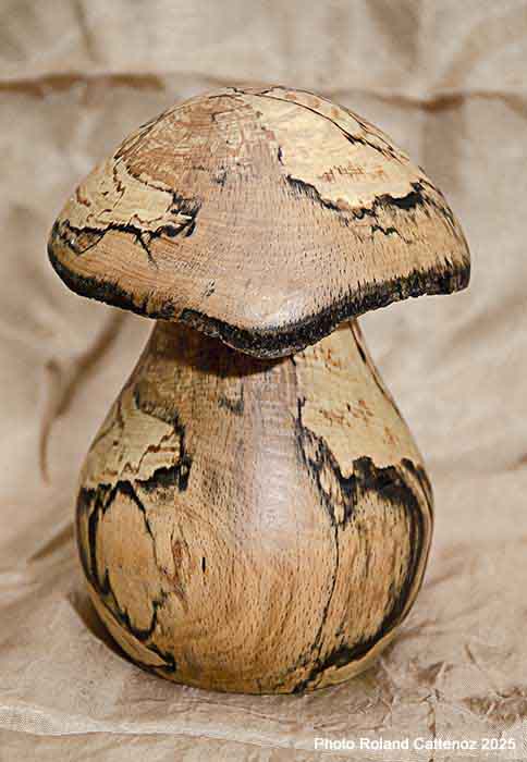 Champignon tourné en Alisier échauffé