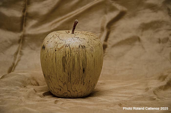 Pomme tournée en Sorbier