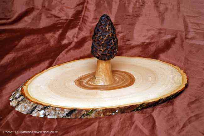 plateau à fromages à poignée : morille sculptée en bois