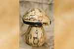 Champignon tourné en bois.
Hauteur : 13cm